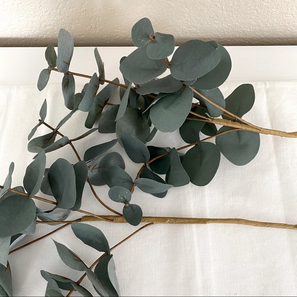 ❌SOLD❌ TARGET Faux Eucalyptus Stems (2) - Picture 3 of 4